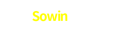 Sowin777